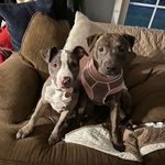 George Labrie - @glabrie1976 - Instagram