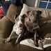 George Labrie - Facebook