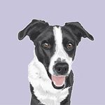 George Lacey and Honey Lacey - @_georgeandhoney_ - Instagram