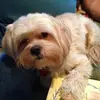 George Lafferty - @user663991171 - TikTok