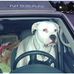 George Lander - Facebook