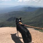Oskar George Lander + Sidekick - @elcappycoronado - Instagram