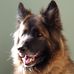 George Langlois - Facebook
