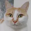 GeorgesLanglois - @roxanrddkau - TikTok