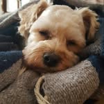 george lantz - @georgelantz63 - Instagram
