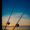 George Latham - @fish.latham - TikTok
