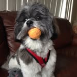 George Gonzalez Lavin - @ggonz042018 - Instagram