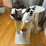 George Learned - @glearn62 - Instagram