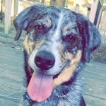 George - @george_ledoooooux_ - Instagram