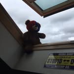 @george_le_doudou - Instagram