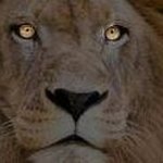 George Leone - @george.leone.5 - Instagram