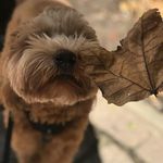 Leroy George - @leroy__george - Instagram