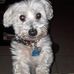 George Lett - Facebook