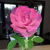 georgelightner792 - @georgelightner792 - TikTok