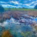 George Liles Trail - Facebook