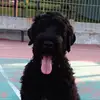 George Lainakis - @george.lainakis - TikTok