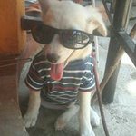 George Lindner - @gjlindner62 - Instagram