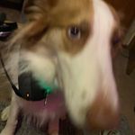 George Linger - @_george.linger_ - Instagram