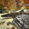 George_linger - @sol.george_ - TikTok