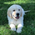 George Link - @milehighgeorge - Instagram