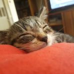 George Link - Facebook