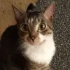 georgelink92 - @georgelink92 - TikTok