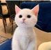 George Linn Ko - Facebook