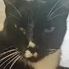georgelino73 - @georgelino73 - TikTok