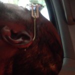George clinton - @therealgeorgeclinton - Instagram
