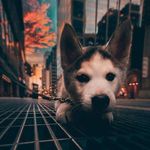 George Linta - @george.linta.90 - Instagram