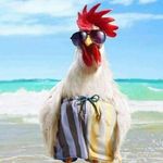 George Lipas - @georgelipas - Instagram