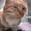 georgelipeplus - @georgelipeplus - TikTok