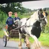 George Lish - @georgelish - TikTok