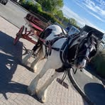 George Lish - Facebook