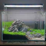 GeorgeListon_Aquascapes - @georgeliston_aquascapes - Instagram