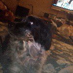 Diane De George Littrell - @altrogirl49 - Instagram