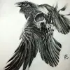 George Longoria - @george.longoria4 - TikTok
