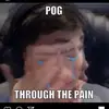 georgelostandfound - @sappynappynotfound - TikTok