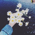 George Lovelace - @hunter._.george - Instagram