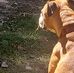 George Lovelace - Facebook