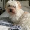george - @george.lowry - TikTok