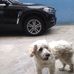 George Ly - Facebook