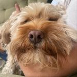 George Mackie - @mackers0 - Instagram