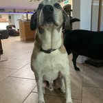 George Mahan - @loner_321907 - Instagram