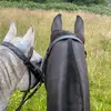 George Kaia and Mais - @gmk.riding - TikTok