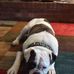 George Malpass - Facebook