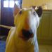 George Malpass - Facebook