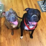George Manos - @georgemanos1954 - Instagram