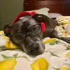 george_manuel - @george_manuel - TikTok