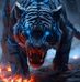 George Mardini - Facebook